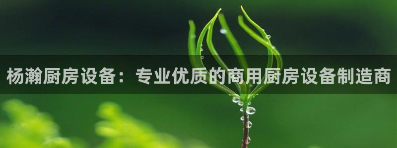 尊龙ag旗舰厅官网登录：杨瀚厨房设备：专业优质的商用厨房设备