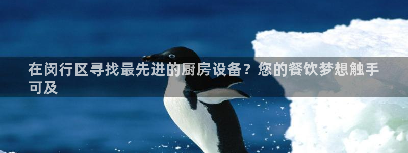 尊龙-人生就是博：在闵行区寻找最先进的厨房设备？您的餐饮梦想
