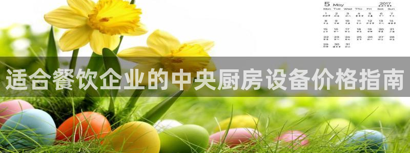 尊龙人生就是博现金：适合餐饮企业的中央厨房设备价格指南