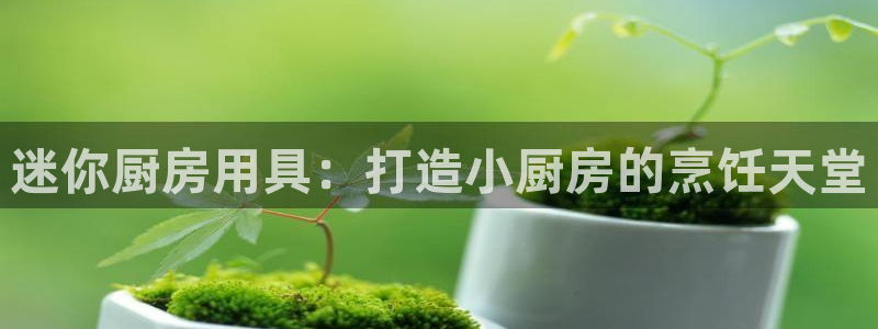 尊龙凯时平台还是万博好：迷你厨房用具：打造小厨房的烹饪天堂