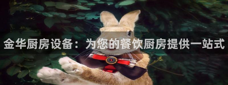 尊龙2020：金华厨房设备：为您的餐饮厨房提供一站式