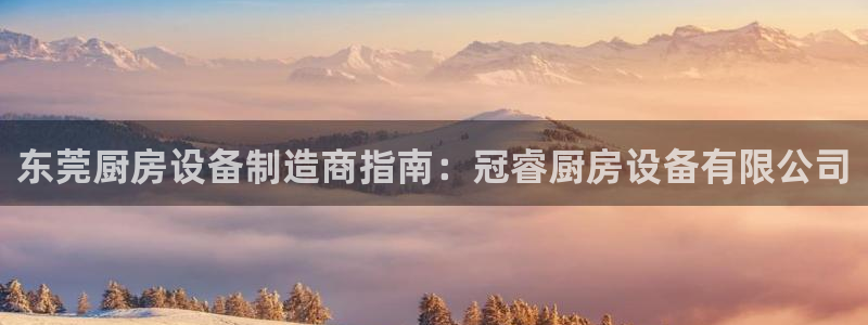 尊龙人生就是博菲律宾台子：东莞厨房设备制造商指南：冠睿厨房设