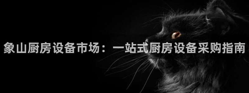 尊龙网站登录：象山厨房设备市场：一站式厨房设备采购指南
