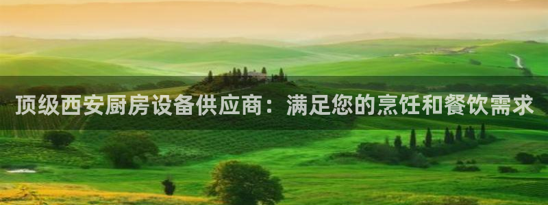 尊龙集团有限公司官网地址：顶级西安厨房设备供应商：满足您的烹