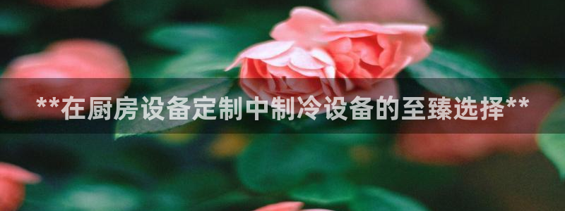 凯时旗舰厅App下载：**在厨房设备定制中制冷设备的至臻选择