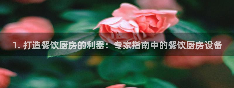 尊龙Ag：1. 打造餐饮厨房的利器：专家指南中的餐饮厨房设备