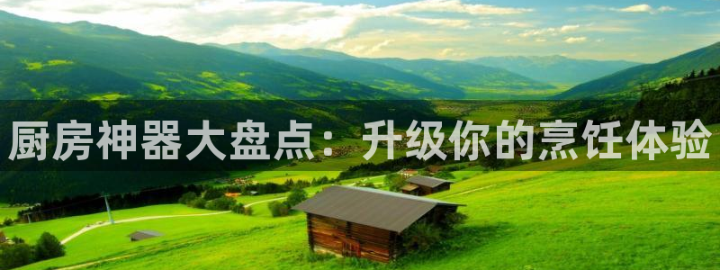 尊龙官网手：厨房神器大盘点：升级你的烹饪体验