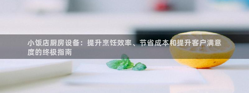尊龙凯时下载人生就是博：小饭店厨房设备：提升烹饪效率、节省成
