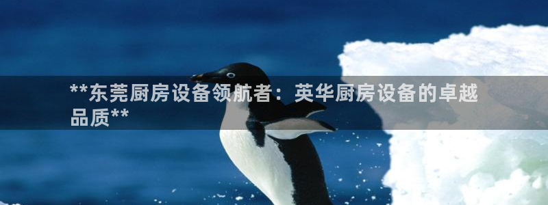 尊龙AG旗舰店：**东莞厨房设备领航者：英华厨房设备的卓越
