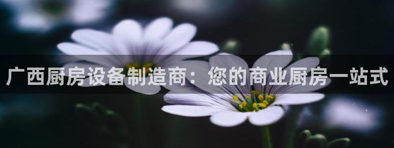 尊龙一人生就是搏：广西厨房设备制造商：您的商业厨房一站式
