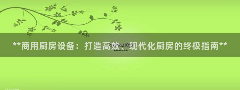 z6尊龙官网平台下载：**商用厨房设备：打造高效、现代化厨房