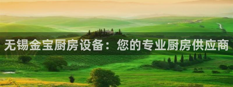 尊龙ag旗舰厅登录 租车app下载：无锡金宝厨房设备：您的专