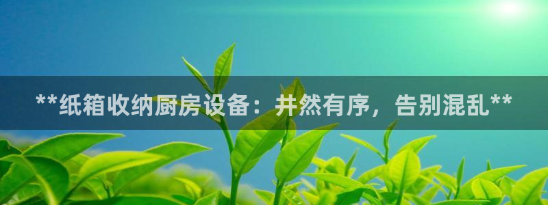尊龙d88官网可靠送38元：**纸箱收纳厨房设备：井然有序，
