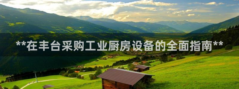 尊龙APP客户端平台：**在丰台采购工业厨房设备的全面指南*