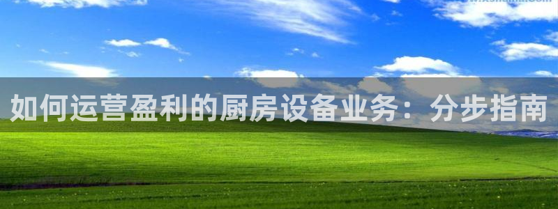 尊龙凯时：如何运营盈利的厨房设备业务：分步指南
