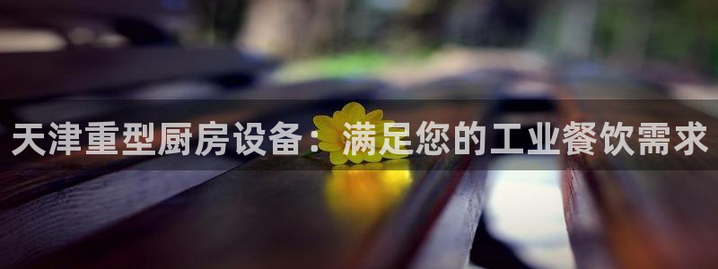 尊龙集团有限公司是国企吗：天津重型厨房设备：满足您的工业餐饮