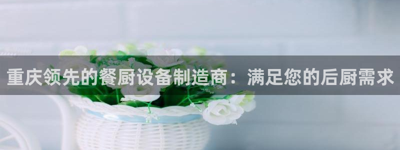 尊龙人生就要博旧版：重庆领先的餐厨设备制造商：满足您的后厨需
