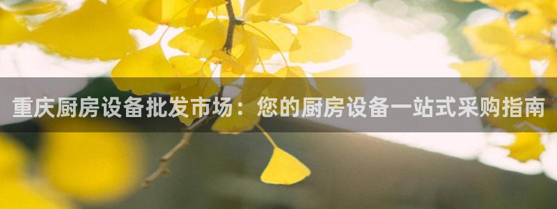 尊龙凯时 人生就是搏 平台：重庆厨房设备批发市场：您的厨房设