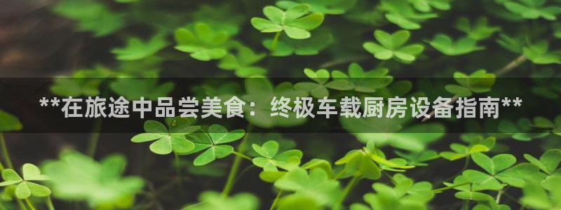尊龙凯时v7要冲多少：**在旅途中品尝美食：终极车载厨房设备