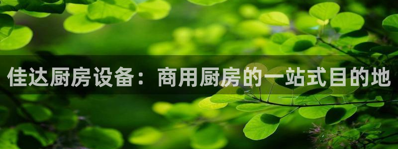 尊龙凯时老板是谁：佳达厨房设备：商用厨房的一站式目的地