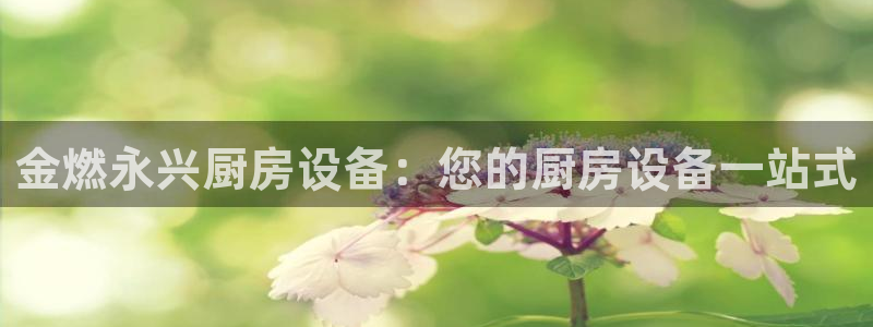 怎样能成为尊龙凯时平台的会员：金燃永兴厨房设备：您的厨房设备