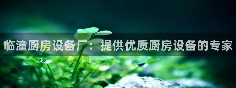 尊龙手机端下载：临潼厨房设备厂：提供优质厨房设备的专家
