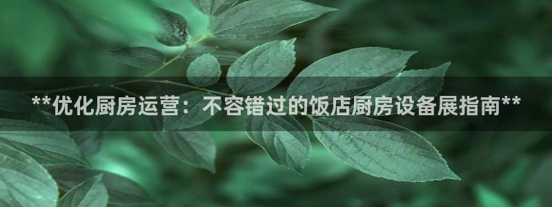 尊龙新版App下载：**优化厨房运营：不容错过的饭店厨房设备