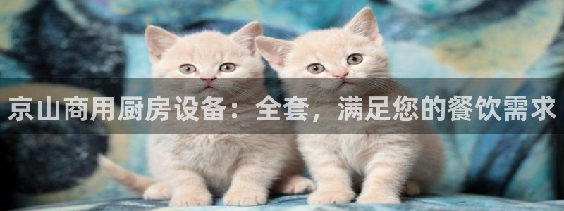 尊龙凯时app安装：京山商用厨房设备：全套，满足您的餐饮需求