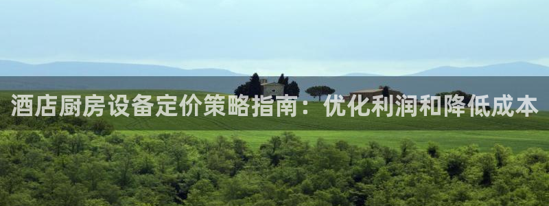 尊龙游戏官网：酒店厨房设备定价策略指南：优化利润和降低成本