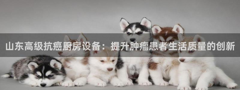 尊龙t600：山东高级抗癌厨房设备：提升肿瘤患者生活质量的创