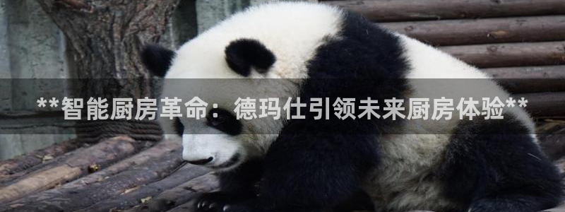 尊龙官网下载：**智能厨房革命：德玛仕引领未来厨房体验**