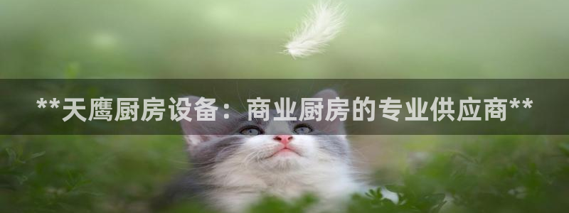 尊龙人生就是博旗舰厅：**天鹰厨房设备：商业厨房的专业供应商