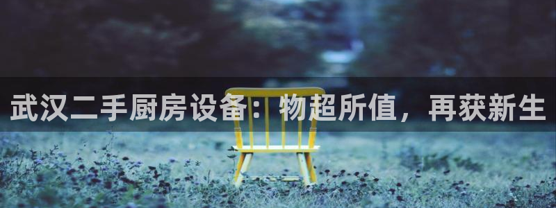 尊龙手机官方客户端下载：武汉二手厨房设备：物超所值，再获新生