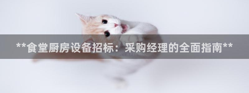 尊龙凯时电竞：**食堂厨房设备招标：采购经理的全面指南**