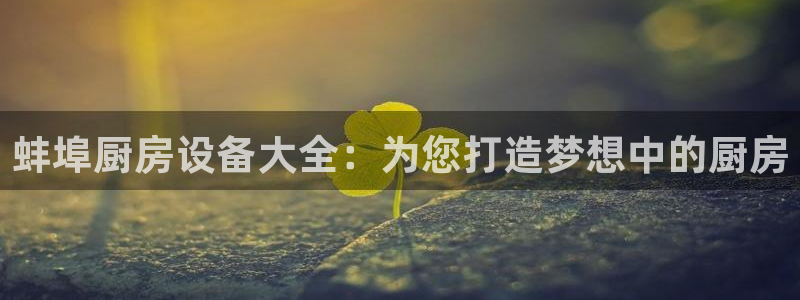 旧版尊龙人生就是博下载：蚌埠厨房设备大全：为您打造梦想中的厨