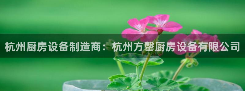 凯时平台怎么样：杭州厨房设备制造商：杭州方罄厨房设备有限公司