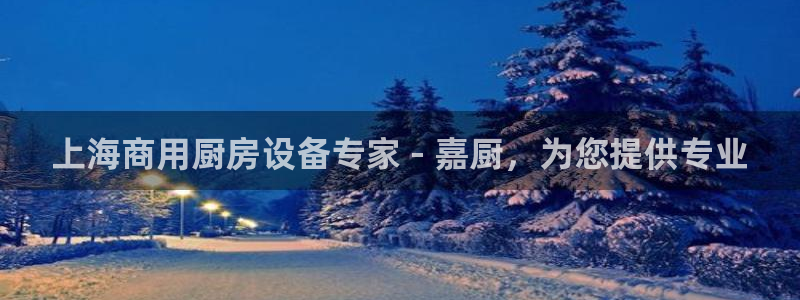 尊龙下载推荐网站：上海商用厨房设备专家 - 嘉厨，为您提供专