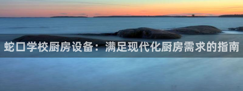尊龙凯时提款冻卡吗：蛇口学校厨房设备：满足现代化厨房需求的指