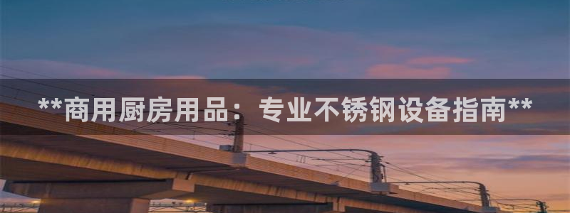 尊龙会ktv价格：**商用厨房用品：专业不锈钢设备指南**