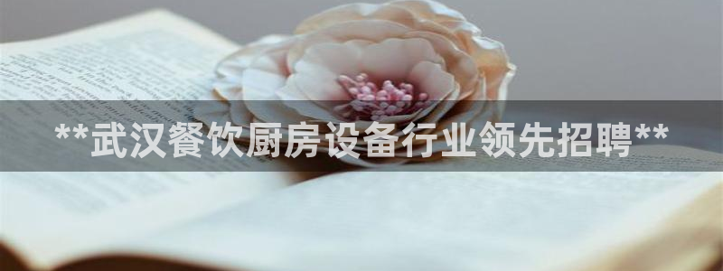 尊龙现金娱乐 下载：**武汉餐饮厨房设备行业领先招聘**