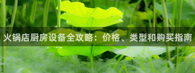 尊龙手机端下载：火锅店厨房设备全攻略：价格、类型和购买指南