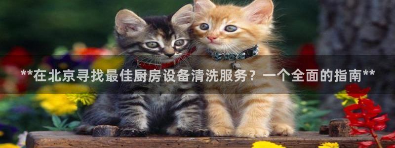 尊龙d88平台版下载：**在北京寻找最佳厨房设备清洗服务？一
