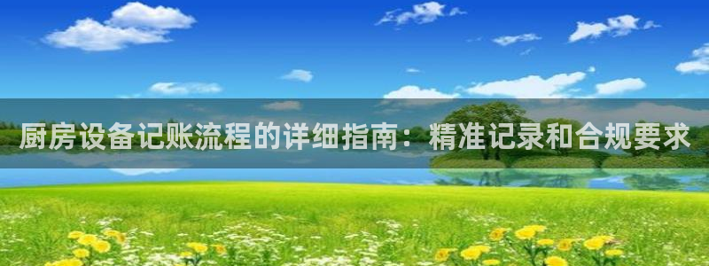 尊龙体育正规么：厨房设备记账流程的详细指南：精准记录和合规要