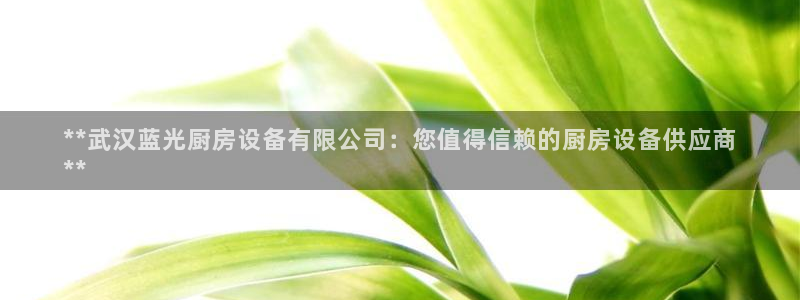 凯时国际app首页：**武汉蓝光厨房设备有限公司：您值得信赖