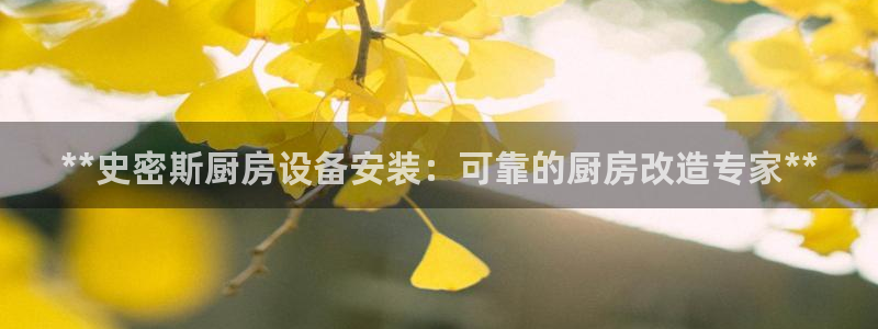 尊龙凯时vip：**史密斯厨房设备安装：可靠的厨房改造专家*