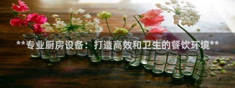 尊龙集团官网：**专业厨房设备：打造高效和卫生的餐饮环境**