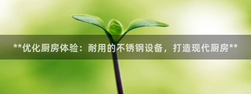 尊龙凯时网娱乐官网：**优化厨房体验：耐用的不锈钢设备，打造