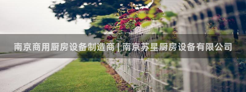 尊龙app注册官网：南京商用厨房设备制造商 | 南京苏星厨房