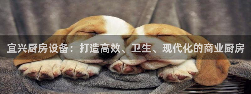 尊龙网平台：宜兴厨房设备：打造高效、卫生、现代化的商业厨房