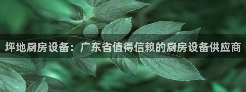 尊龙用现金娱乐一下下载旧：坪地厨房设备：广东省值得信赖的厨房